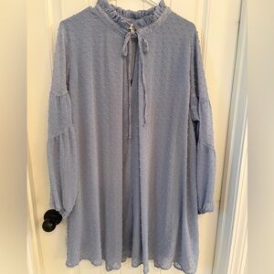 Umgee Light Blue Textured Dress
